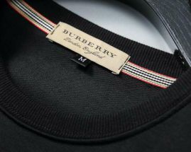 Picture of Burberry SweatSuits _SKUBurberryM-3XL25tn17727402